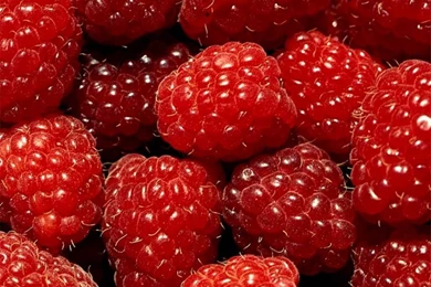 25 Best Fruit Wallpapers