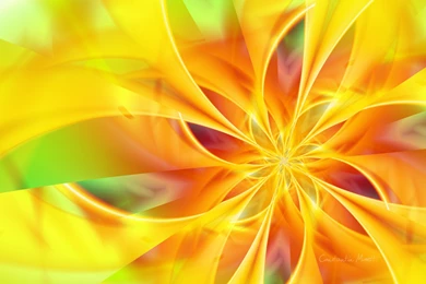 Lines, Neon, Gradient, Art, Media, Colors, Background, Hd, Wallpapers