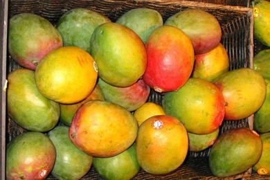 Mango Fruit Wallpapers   Crazy Frankenstein