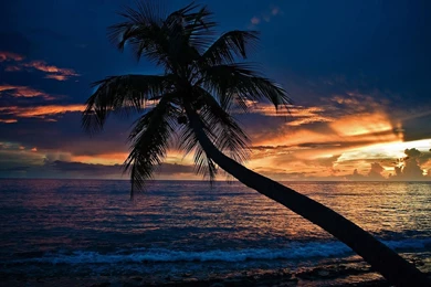 Wallpapers Beach At Night 10 Desktop Backgrounds   Hdnaturewall.com