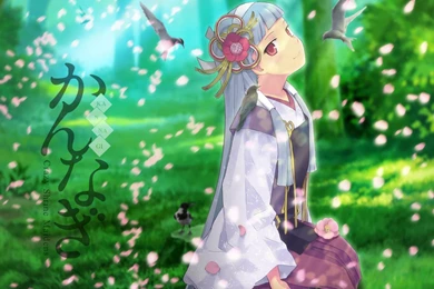 Anime Girl In Grassy Meadow Beautiful Wallpapers