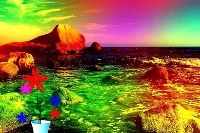 Sanjay Photo World: Studio Backgrounds 08