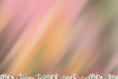 Photoshop Studio Backgrounds Download Images