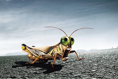 TOP HD WALLPAPERS: BEAUTIFUL 3D ABSTRACT WALLPAPERS 1080p