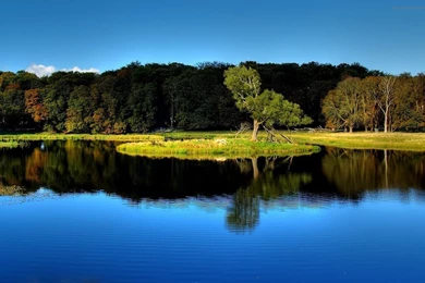 Amazing_nature_full_hd_wallpaper_070510_09 1920x1080.jpg