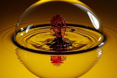 Download Nature Wallpapers 1600x900