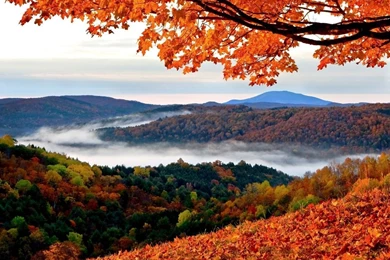 Top Autumn Wallpapers 1280x1024 Images For Pinterest