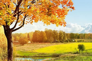 Top Autumn Wallpapers 1280x1024 Images For Pinterest