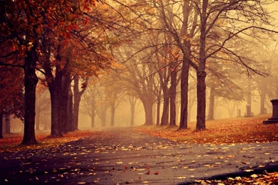 1280x1024 Park In Autumn Desktop PC And Mac Wallpapers