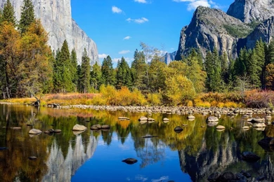 Download Wallpapers 1280x1024 Leaves, Maple, Blur, Autumn 1280x1024 ...