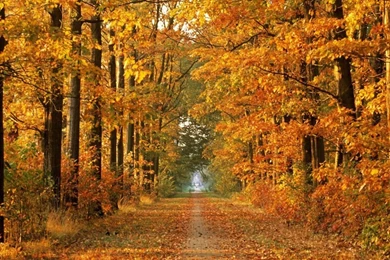 Autumn Photoshoot 2 1280x1024 Wallpapers, 1280x1024 Wallpapers ...