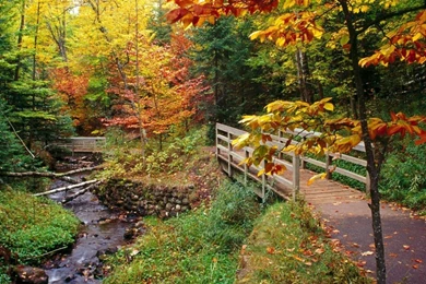 Fall Colors 1280x1024 Wallpapers, 1280x1024 Wallpapers & Pictures ...