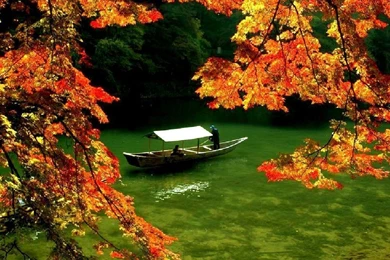 Autumn In Japan Wallpapers   Seasonal   Crazy Frankenstein