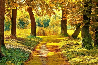 1280x1024 Landscape Autumn Wallpapers