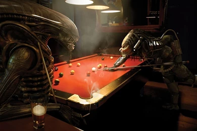 Top Predator Hd 04 By Images For Pinterest