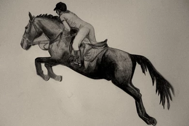 Horse Jump By PaigeLianCopsey On DeviantArt