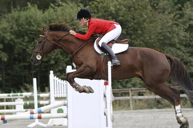 Jumping Wallpapers >> Backgrounds With Quality HD