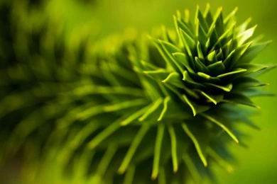 The Best Hd Nature Wallpapers (14) Photos Of The Best HD Nature ...