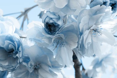 1080x1920   Samsung Wallpapers