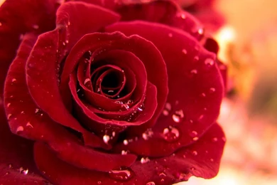 Share Your Wallpapers   Page 245