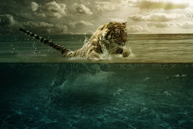 Mac iMac 27 Tiger Wallpapers HD, Desktop Backgrounds 2560x1440 ...