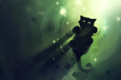 Wallpapers Anime Black Cat Free Green On Water Original Dark ...