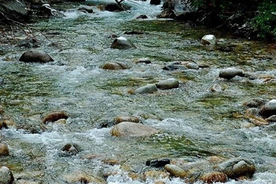 Nature Torrent Wallpapers