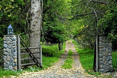 Desktop free hd pics of nature download.jpg