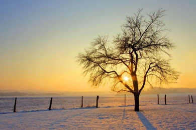 Free download hd wallpaper hd for desktop 3D.jpg