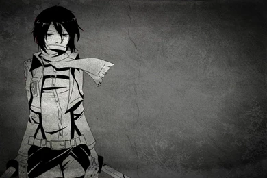 Mikasa ackerman shingeki no kyojin anime hd wallpaper 2560x1600 1261.jpg