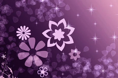 Purple Wallpapers HD