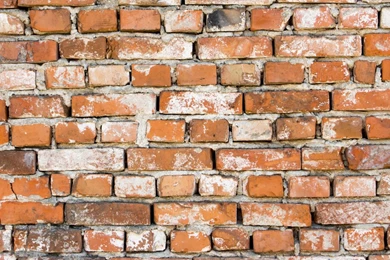 Old Brick Wall Wallpapers   Photography Wallpapers