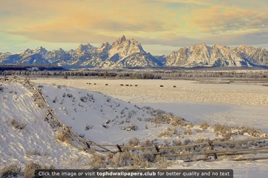 Laptop Screen S 4K Or HD Wallpapers For Your PC, Mac Or Mobile Device