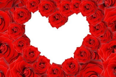 Red Roses In A Heart Shape On White Backgrounds Wallpapers And ...