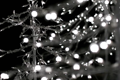 Christmas Lights HD Wallpapers   , New Wallpapers, New Wallpapers