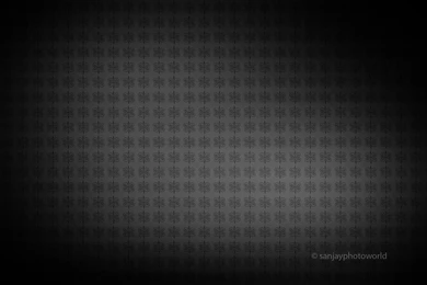 Sanjay Photo World: July 2015