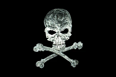 Glass Skull And Bones Wallpapers   Digital Art Wallpapers