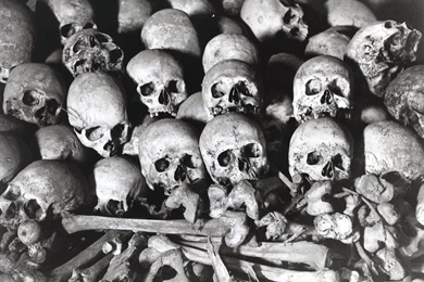 Skull And Bones Quotes. QuotesGram