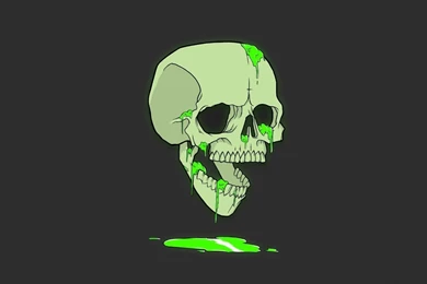 Skull, Bones, Artwork, Humor, Minimalism, Green Wallpapers HD
