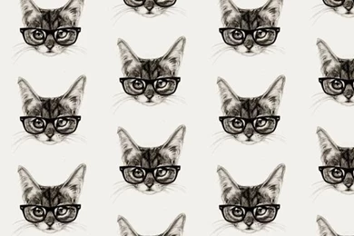 Cats Tumblr Iphone Wallpapers   Google Search