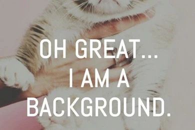 LOL Funny Wallpaper Backgrounds Funny Quotes Backgrounds Wallpapers ...