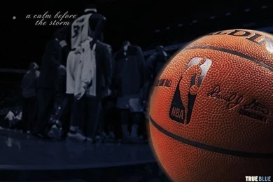 NBA Minnesota Timberwolves Basketball Desktop 7   Wallcoo.net