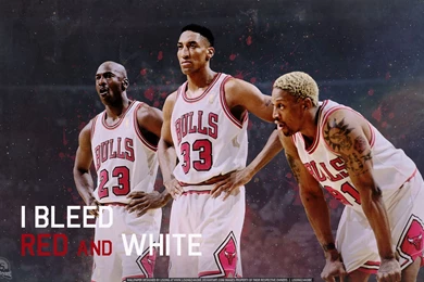 Top Basketball Nba Scottie Pippen Images For Pinterest