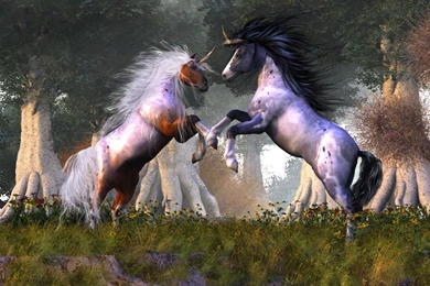 Free Fantasy Unicorns Computer Desktop Wallpapers