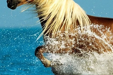 Top Running Iphone Wallpaper Images For Pinterest