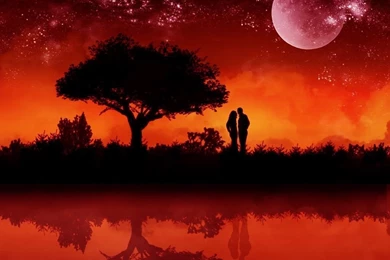 Love Romance Wallpapers 2   Crazy Frankenstein