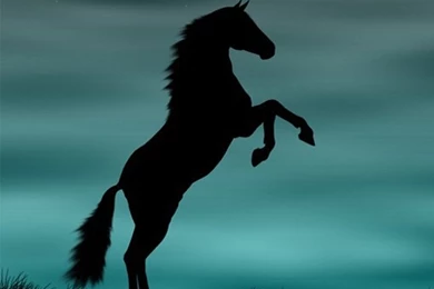 Iphone 4 wallpapers 489