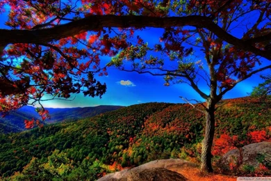 Autumn Landscape Wallpapers   737840