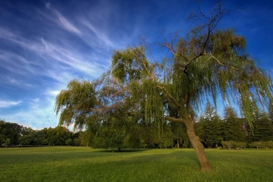 Hd Wallpapers 1080p Wallpapers 315993