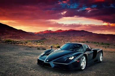 Ferrari Enzo Wallpapers